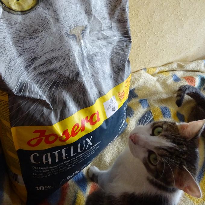 Týnka