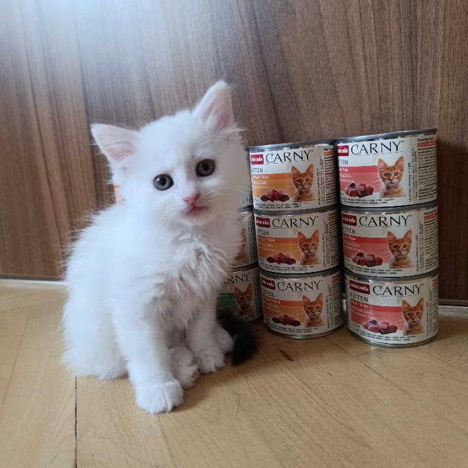 Milky