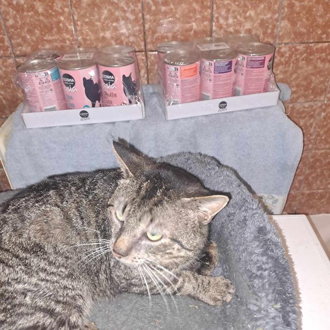 Mikeš