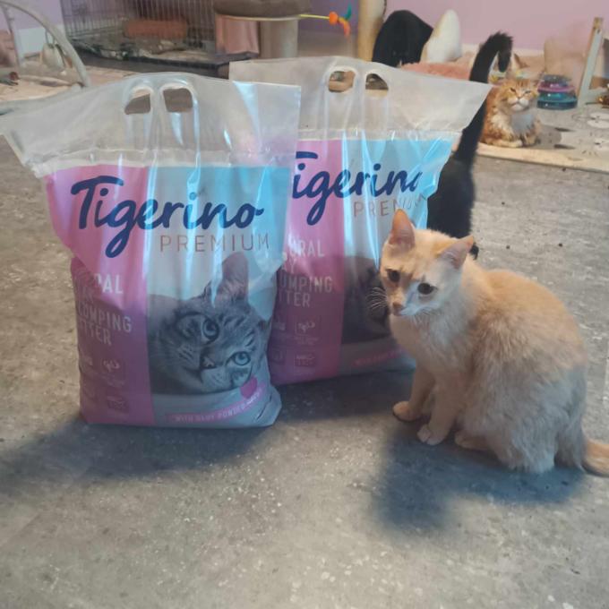 Tarabas