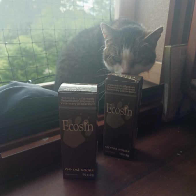 hluchá babička Líza