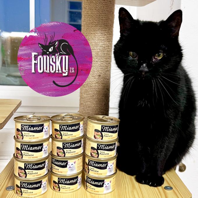 Bohoušek