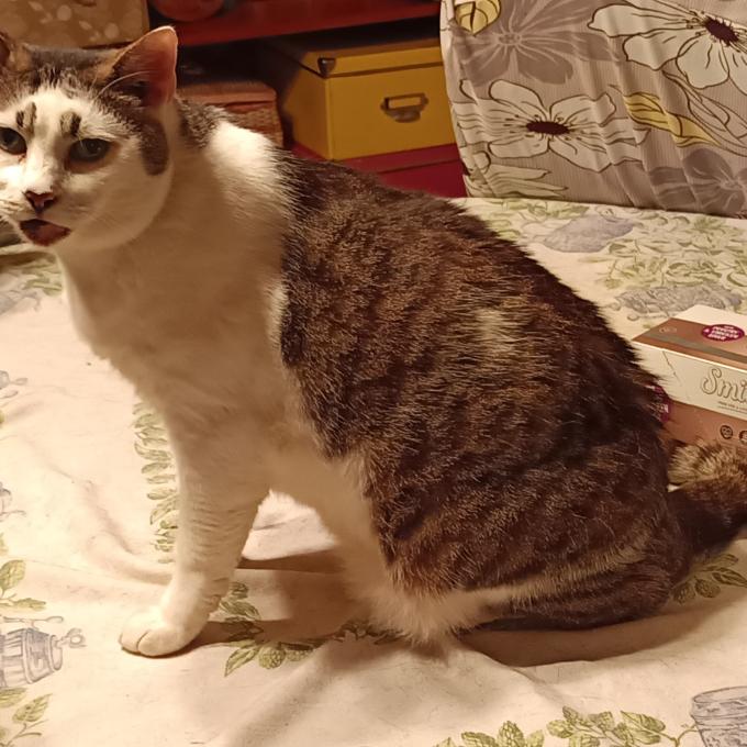Jim