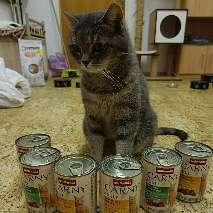 Kiki