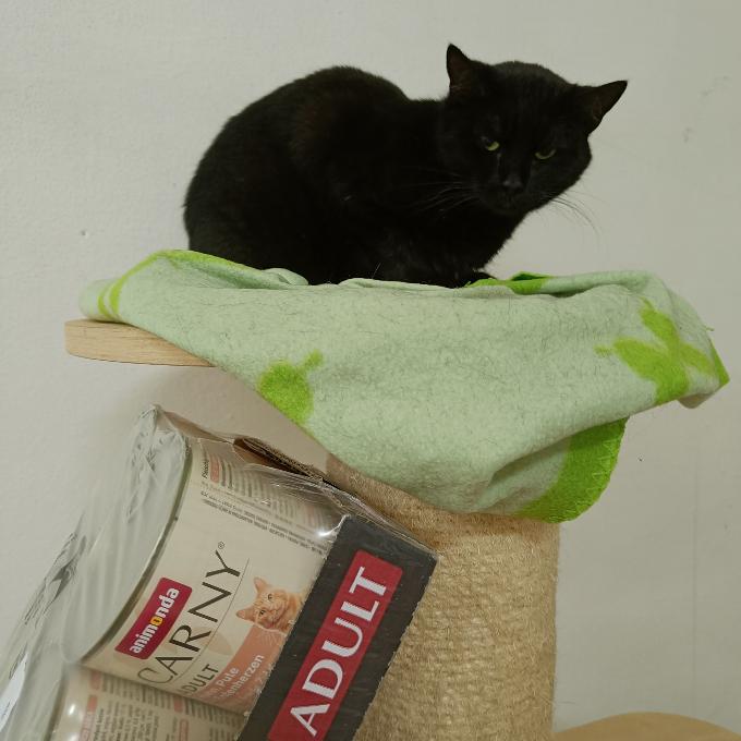 Tilly