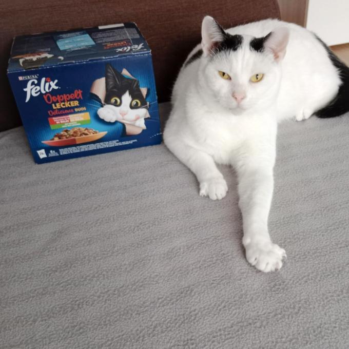 Billy