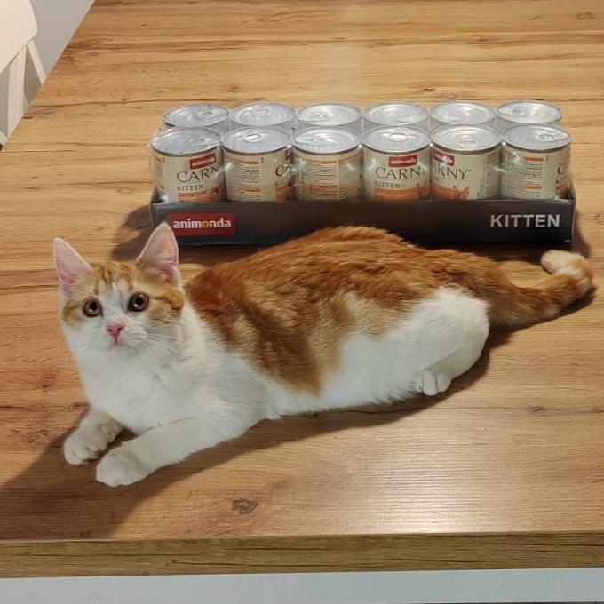 Felix