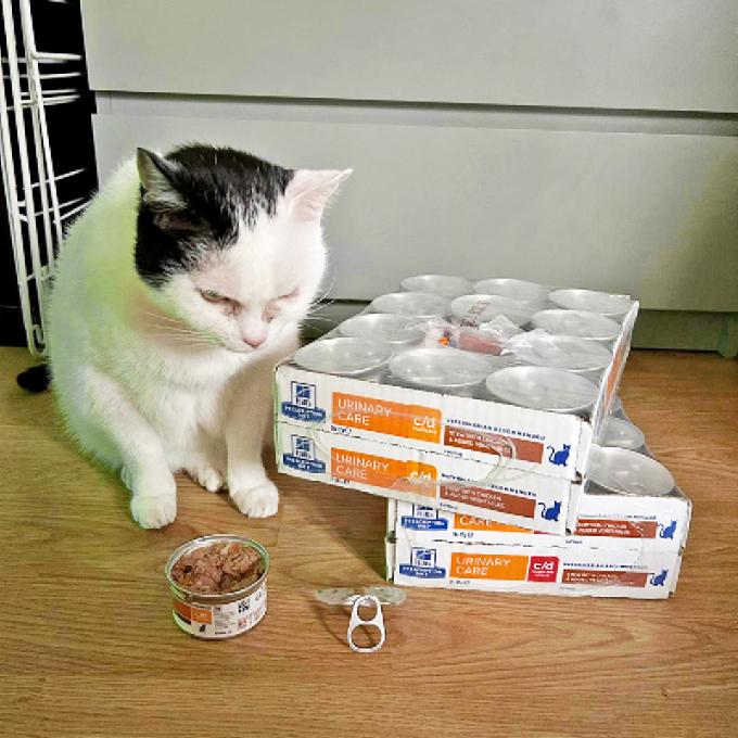 Hubert