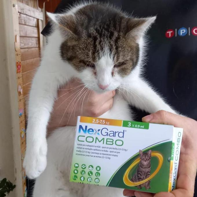 Pípí