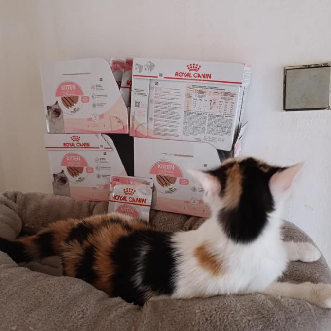 Ducinka