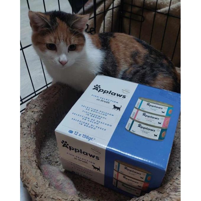 Esmeralda