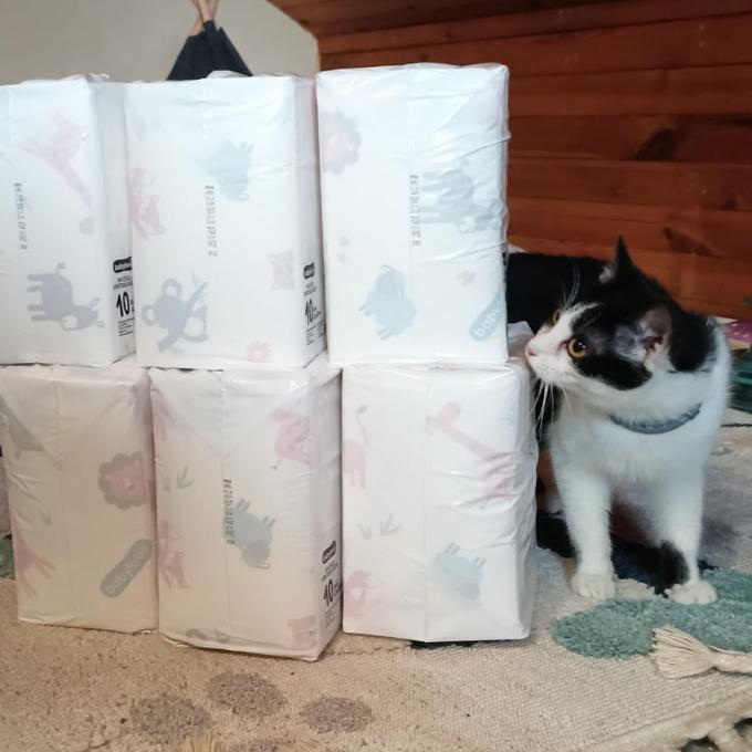 bolístková Mrňka Shittykitty