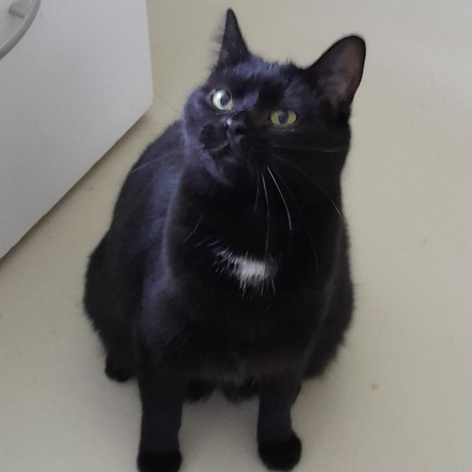 Miunka