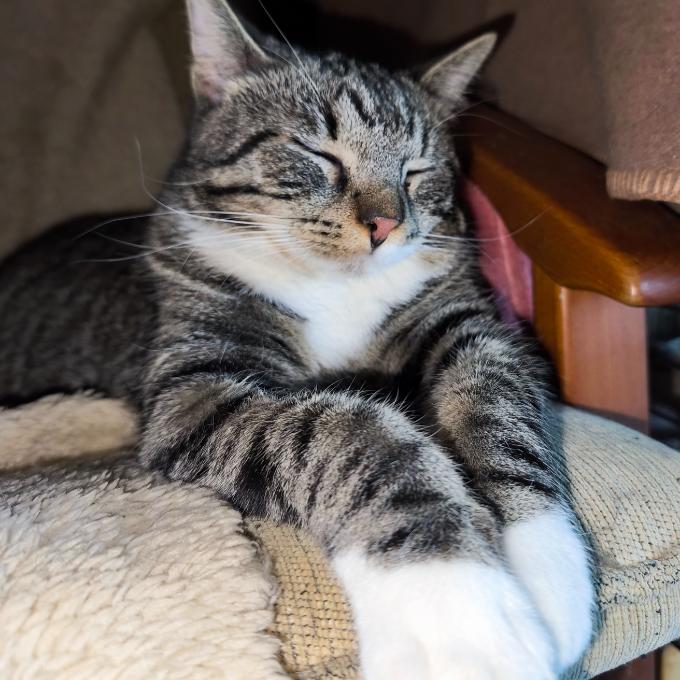 Max