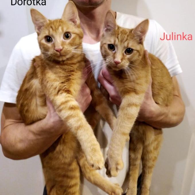 Julinka