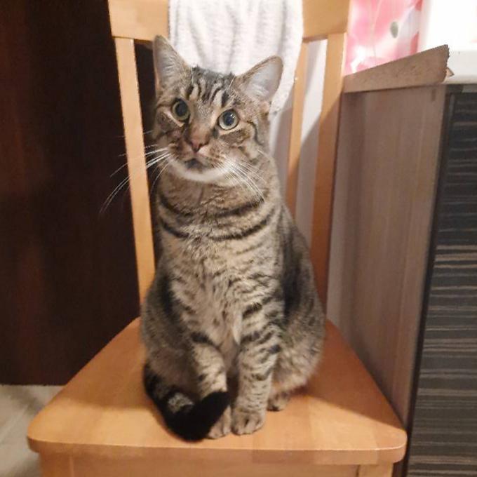 Fred