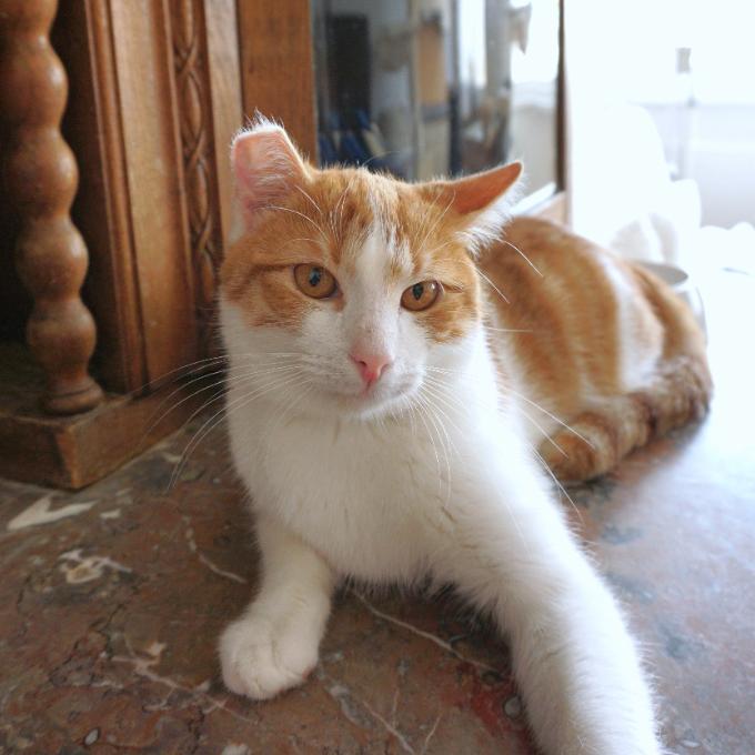 HEŘMÁNEK