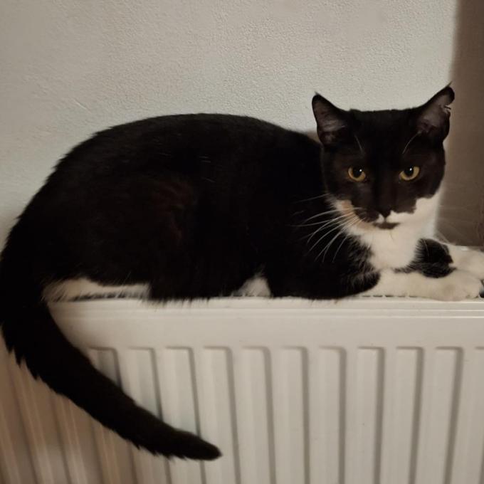 Erik