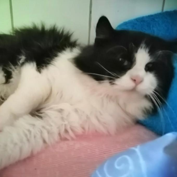 Lumpík