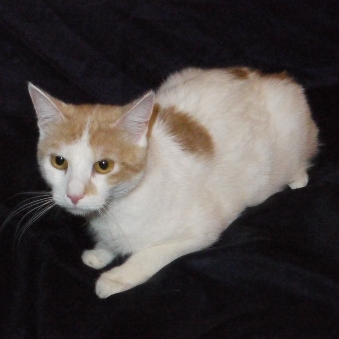 Fiona