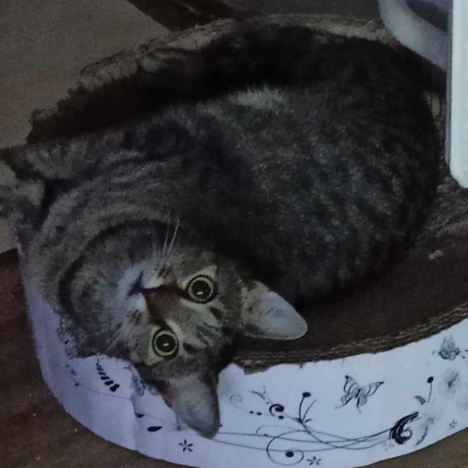 Mia