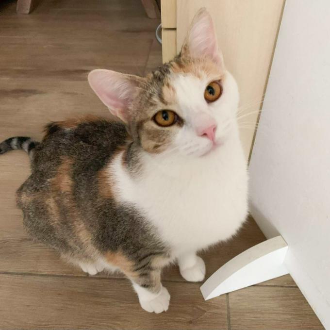 Kristýnka