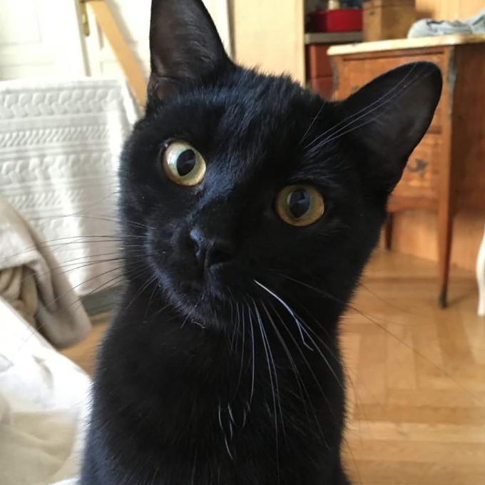 Melvin