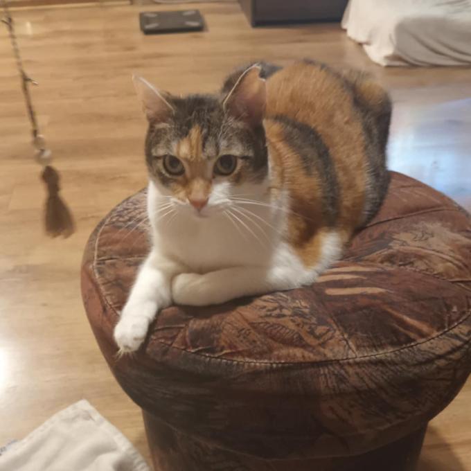 Keira