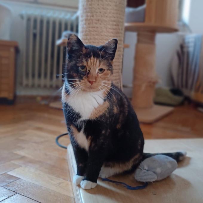 Freya