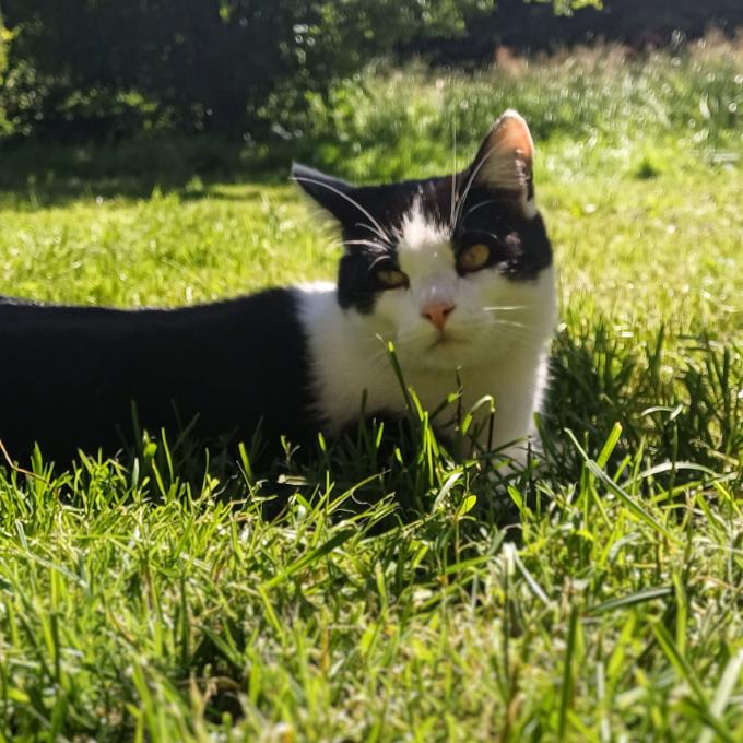 Rubi
