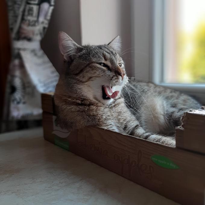 Bublinka