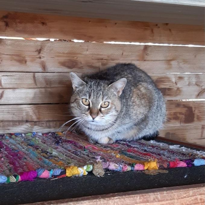 Beruška