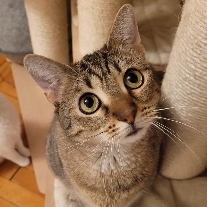 Minky