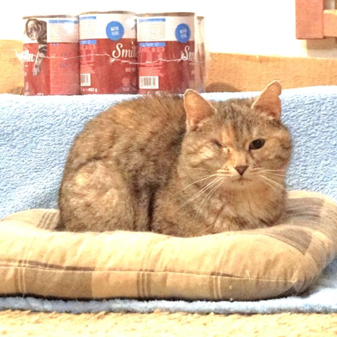 RONJA