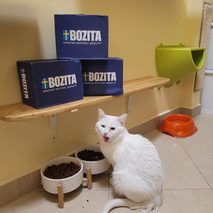 Baletka