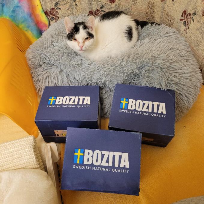 Babetka