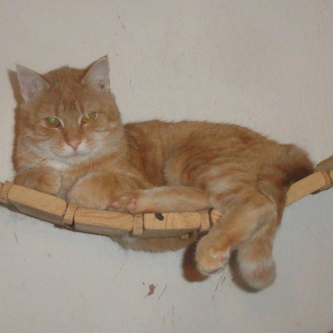 Rozkoš