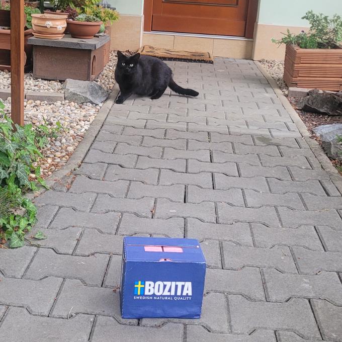 Mireček