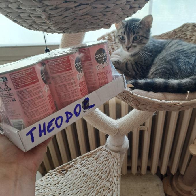 Theodor