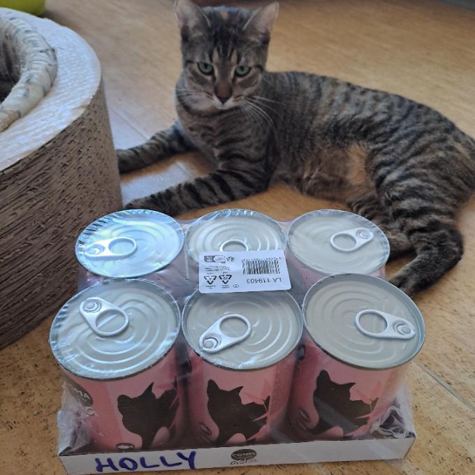 Holly