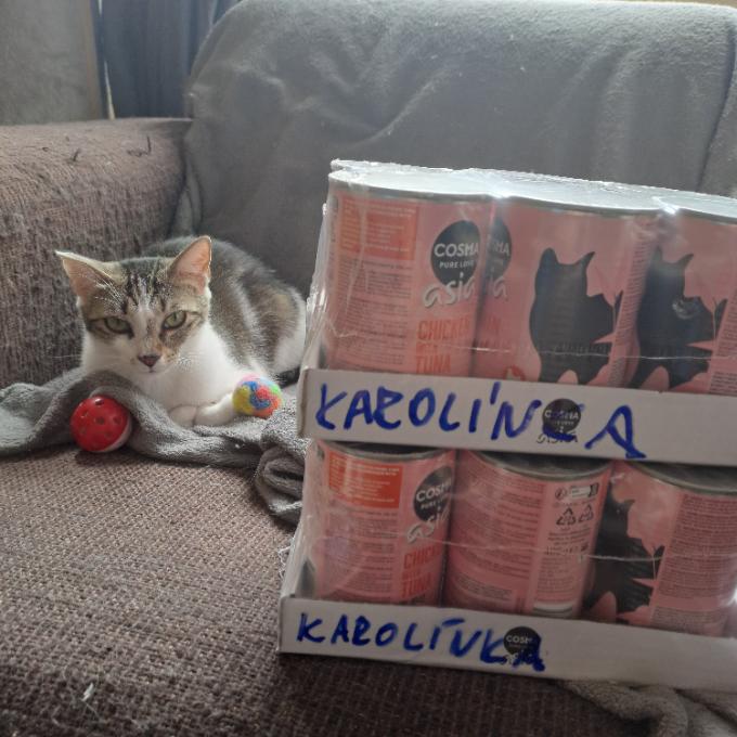 Karolínka