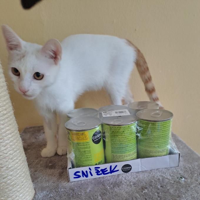 Snížek