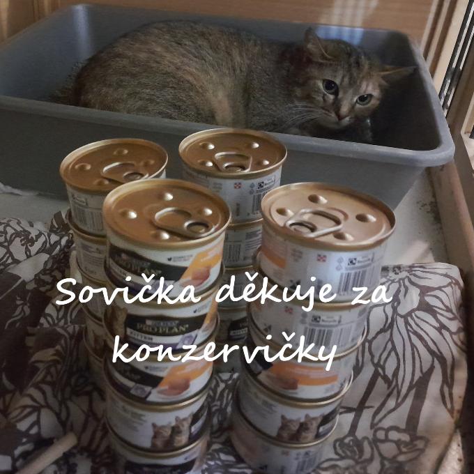 Sovička