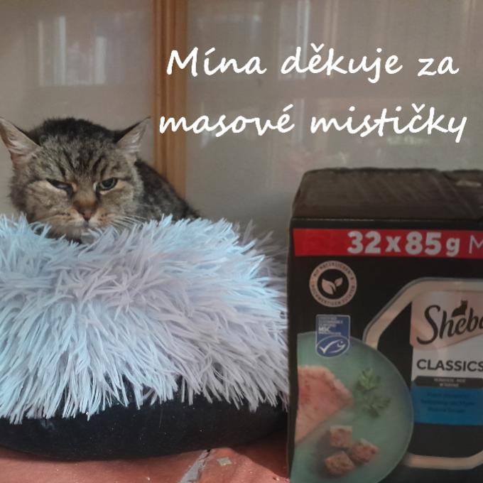 Mína