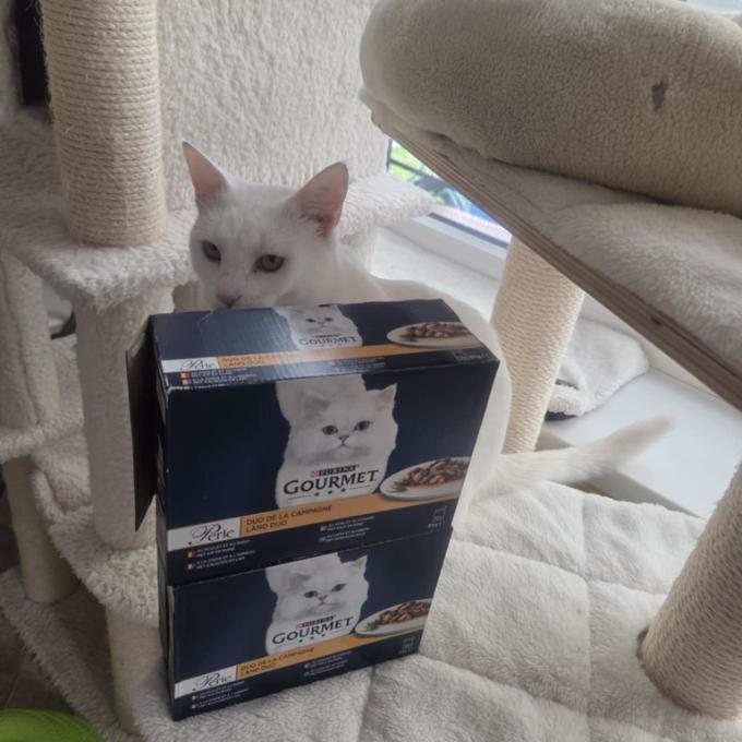 Blonďák