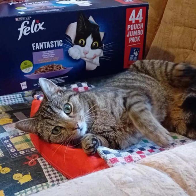 Josífek