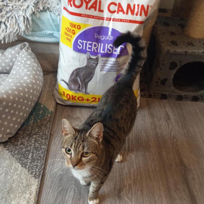 Anežka
