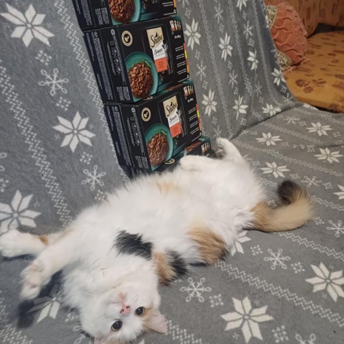 Mia