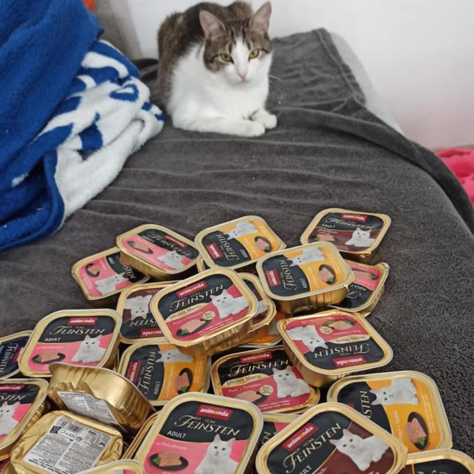 Ema