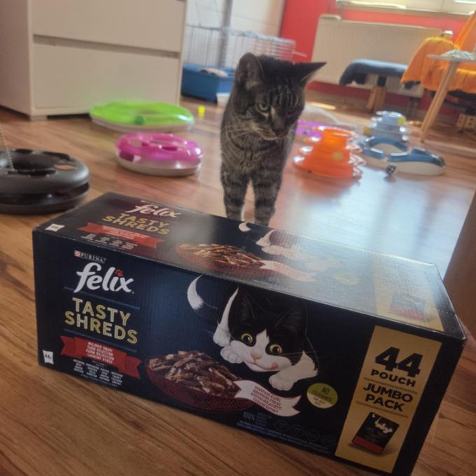 Toníček